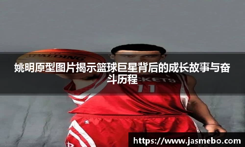 米乐M6官网